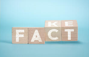 "Fake or fact?" concept with wooden blocks on a blue background.