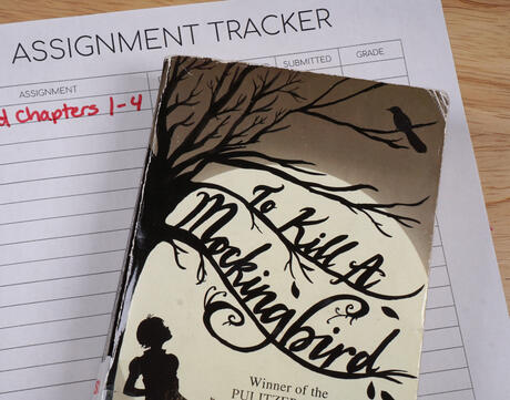 Assigned homework to read To Kill a Mockingbird by Harper Lee